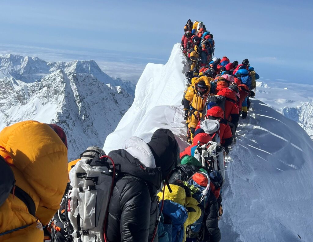 The Trailblazer’s Guide
