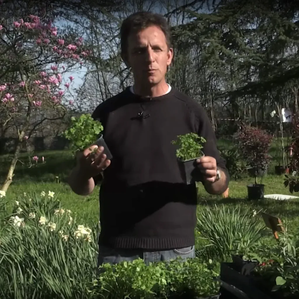 Comment choisir le podcast jardinage adapté à son niveau