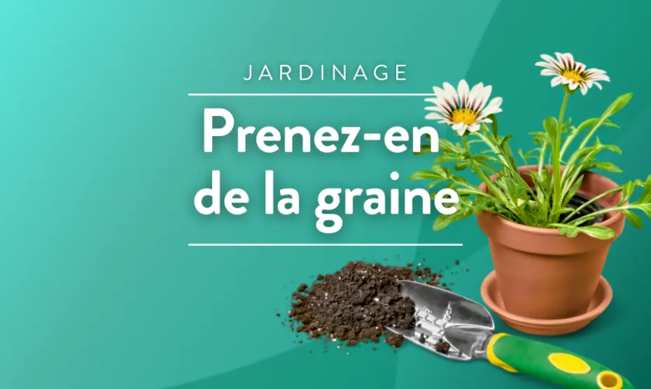 Prenez en de la graine – Des conseils jardinage écolos